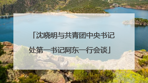 沈晓明与共青团中央书记处第一书记阿东一行会谈
