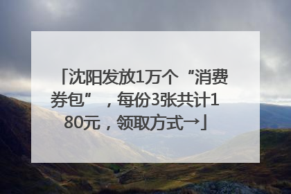 沈阳发放1万个“消费券包”，每份3张共计180元，领取方式→