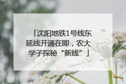 沈阳地铁1号线东延线开通在即，农大学子探秘“新线”