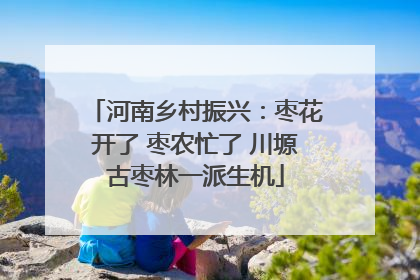 河南乡村振兴：枣花开了 枣农忙了 川塬古枣林一派生机