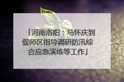 河南洛阳：马怀庆到偃师区指导调研防汛综合应急演练等工作