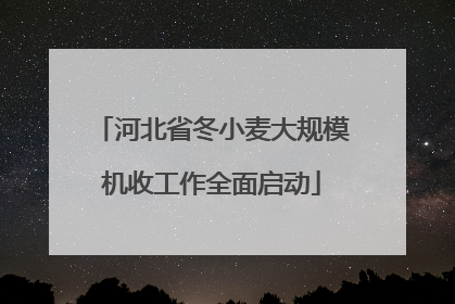 河北省冬小麦大规模机收工作全面启动