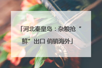 河北秦皇岛：杂粮抢“鲜”出口 俏销海外
