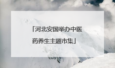 河北安国举办中医药养生主题市集