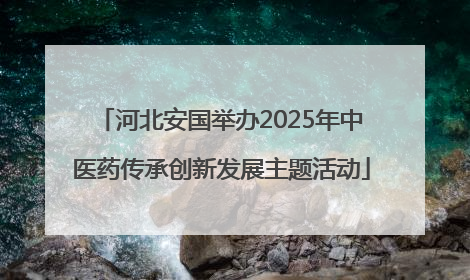 河北安国举办2025年中医药传承创新发展主题活动