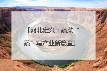 河北定兴：蔬菜“蔬”写产业新篇章
