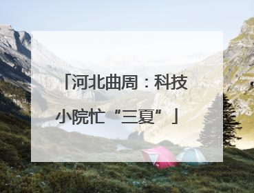 河北曲周：科技小院忙“三夏”