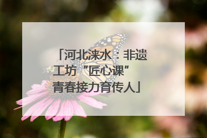 河北涞水：非遗工坊“匠心课” 青春接力育传人