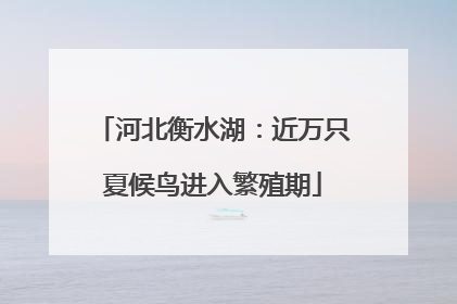 河北衡水湖：近万只夏候鸟进入繁殖期