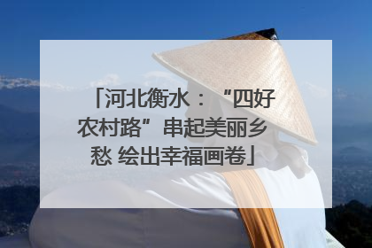 河北衡水：“四好农村路”串起美丽乡愁 绘出幸福画卷