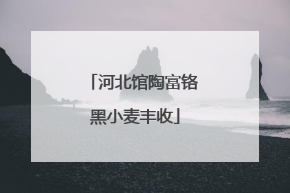 河北馆陶富铬黑小麦丰收