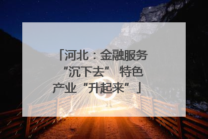 河北：金融服务“沉下去” 特色产业“升起来”