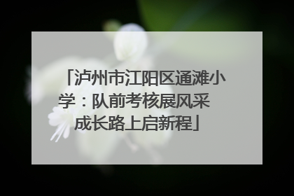 泸州市江阳区通滩小学：队前考核展风采 成长路上启新程