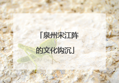 泉州宋江阵的文化钩沉