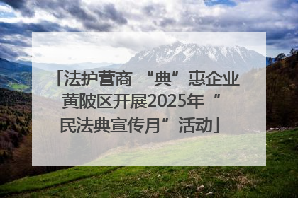 法护营商 “典”惠企业 黄陂区开展2025年“民法典宣传月”活动