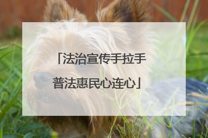 法治宣传手拉手 普法惠民心连心