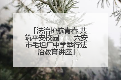 法治护航青春 共筑平安校园——六安市毛坦厂中学举行法治教育讲座