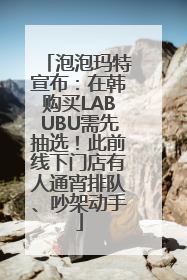 泡泡玛特宣布：在韩购买LABUBU需先抽选！此前线下门店有人通宵排队、吵架动手
