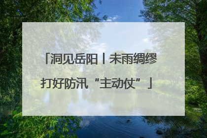 洞见岳阳丨未雨绸缪 打好防汛“主动仗”