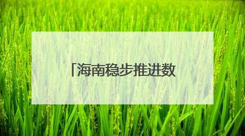 海南稳步推进数据安全有序流动