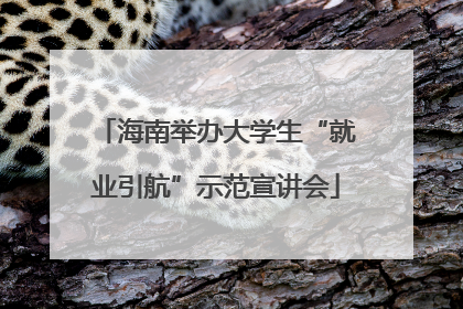 海南举办大学生“就业引航”示范宣讲会