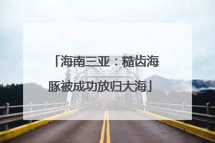 海南三亚：糙齿海豚被成功放归大海