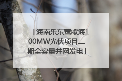 海南乐东莺歌海100MW光伏项目二期全容量并网发电