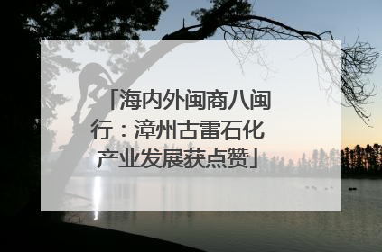 海内外闽商八闽行：漳州古雷石化产业发展获点赞