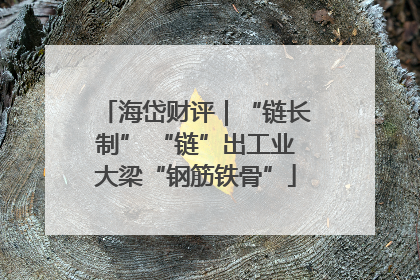 海岱财评｜“链长制” “链”出工业大梁“钢筋铁骨”
