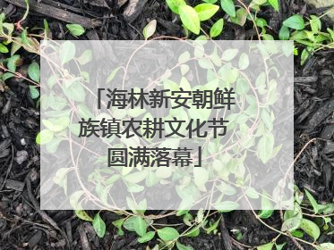 海林新安朝鲜族镇农耕文化节圆满落幕