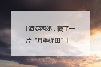 海淀西郊，藏了一片“月季梯田”