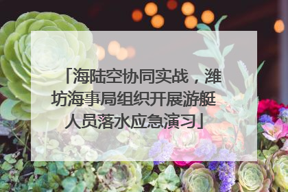 海陆空协同实战，潍坊海事局组织开展游艇人员落水应急演习