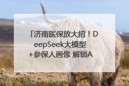 济南医保放大招！DeepSeek大模型+参保人画像 解锁AI医保管家新体验