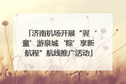 济南机场开展“翼‘童’游泉城‘粽’享新航程”航线推广活动