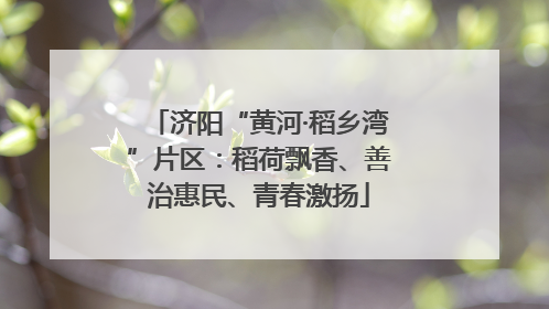 济阳“黄河·稻乡湾”片区：稻荷飘香、善治惠民、青春激扬