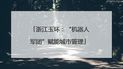 浙江玉环：“机器人军团”赋能城市管理