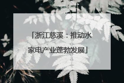 浙江慈溪：推动水家电产业蓬勃发展