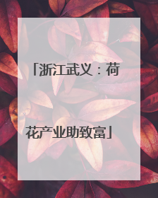 浙江武义：荷花产业助致富