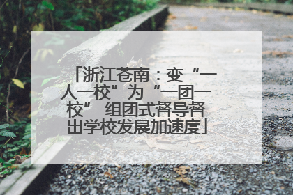 浙江苍南：变“一人一校”为“一团一校” 组团式督导督出学校发展加速度