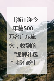 浙江迎今年第500万名广东旅客，收到的“锦鲤礼包”都有啥