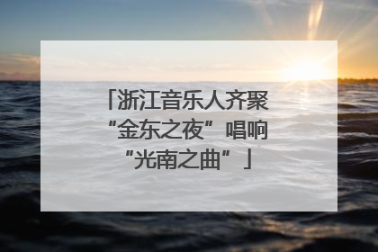 浙江音乐人齐聚“金东之夜”唱响“光南之曲”