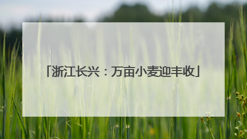 浙江长兴：万亩小麦迎丰收