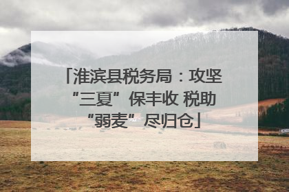 淮滨县税务局：攻坚“三夏”保丰收 税助“弱麦”尽归仓