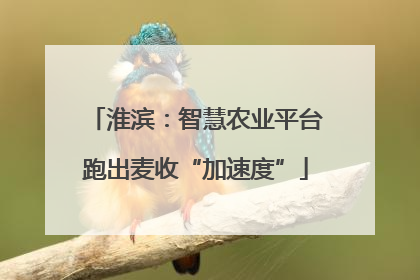 淮滨：智慧农业平台跑出麦收“加速度”