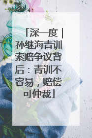深一度｜孙继海青训索赔争议背后：青训不容易，赔偿可仲裁