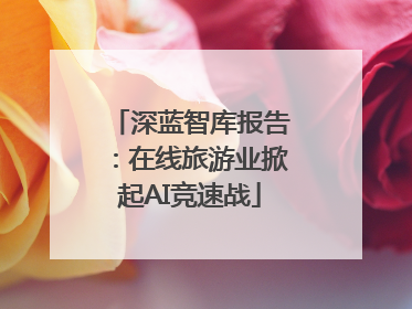 深蓝智库报告：在线旅游业掀起AI竞速战