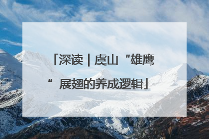 深读｜虞山“雄鹰”展翅的养成逻辑
