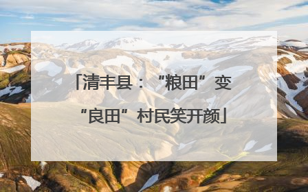 清丰县：“粮田”变“良田”村民笑开颜