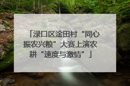 渌口区淦田村“同心振农兴粮”大赛上演农耕“速度与激情”