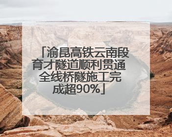 渝昆高铁云南段育才隧道顺利贯通 全线桥隧施工完成超90%